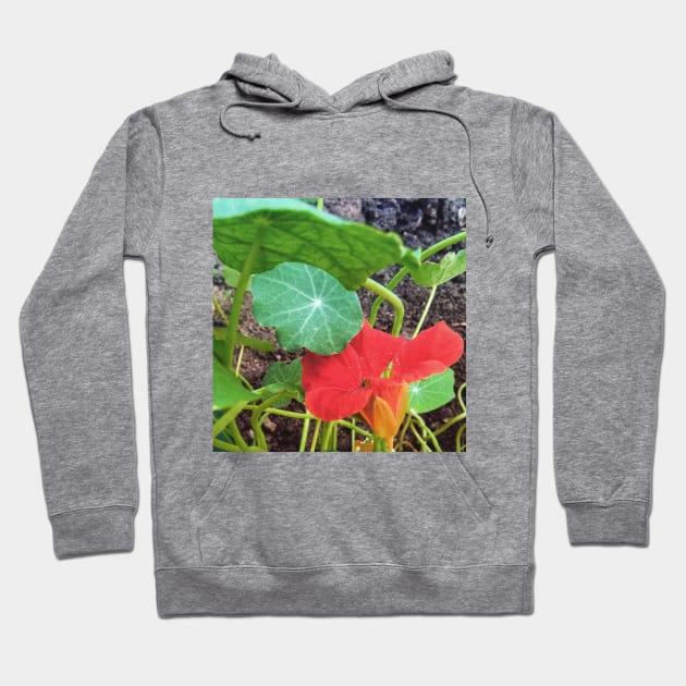 Nasturtium Empress of India Hoodie by Hajarsdeco